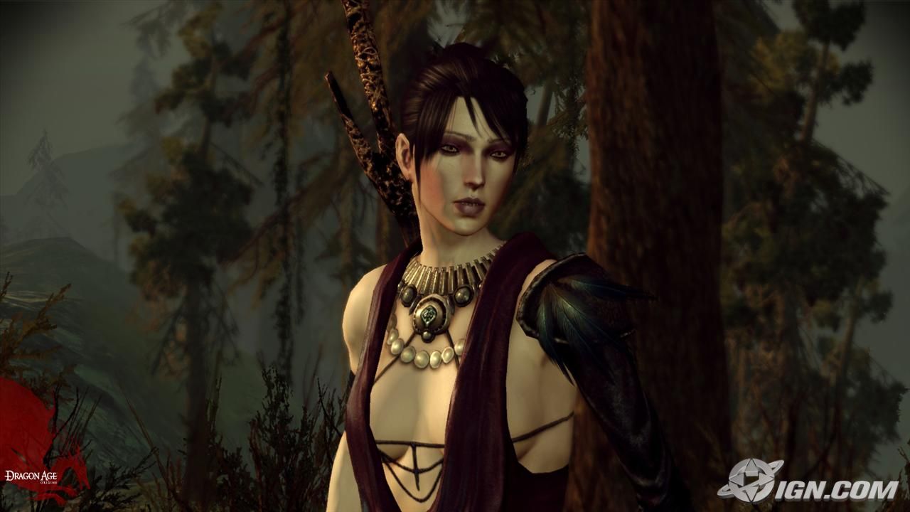 dragon-age-origins-20090910034416381